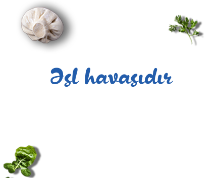 "Əsl havasıdır" campaign
